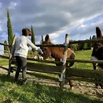 Il Tinaio *