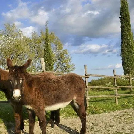 Il Tinaio * Monteroni dʼArbia